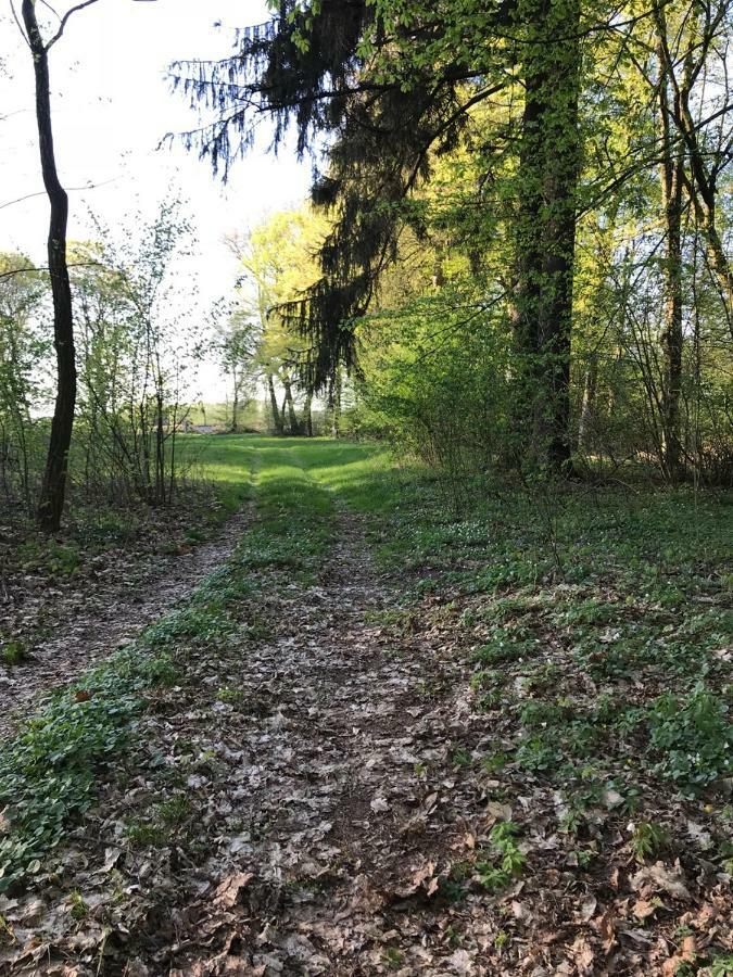 Dwor Woskrzenice Hotel Biala Podlaska Luaran gambar